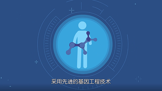 南海朗肽蓋扶動(dòng)畫(huà)案例